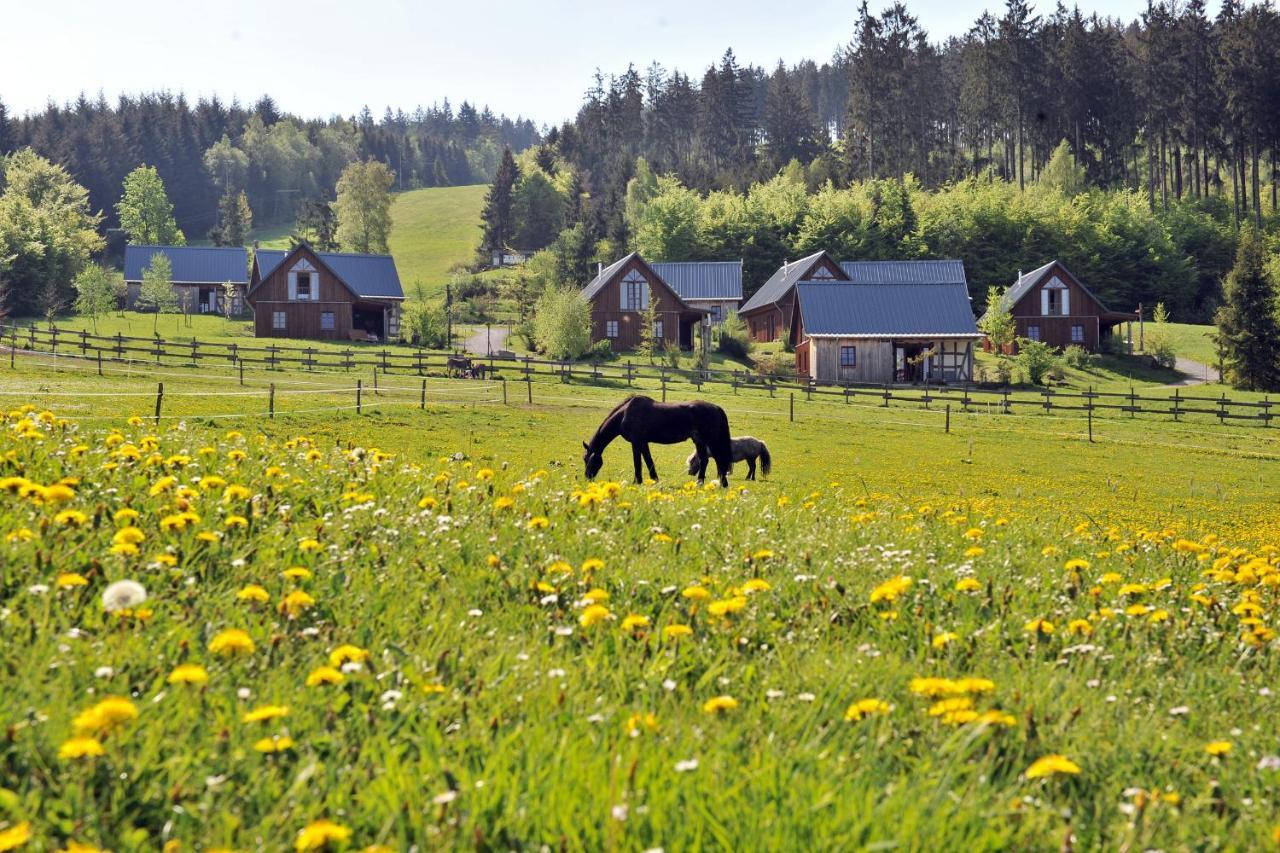 Hotel Bergdorf Liebesgruen Schmallenberg Zewnętrze zdjęcie
